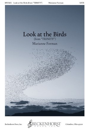 Look at the Birds